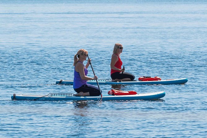 Dolphin and Manatee Stand Up Paddleboard Tour in Daytona Beach - Tour Highlights