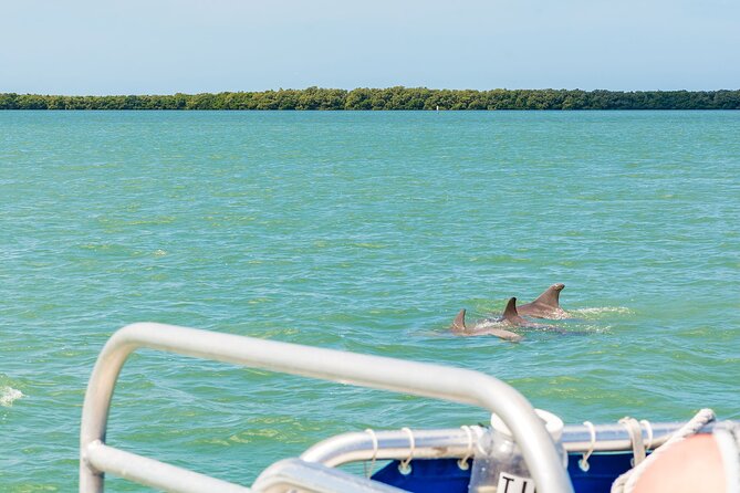 Dolphin Boat Tour in Clearwater Beach With Free Ice Cream - Additional Information