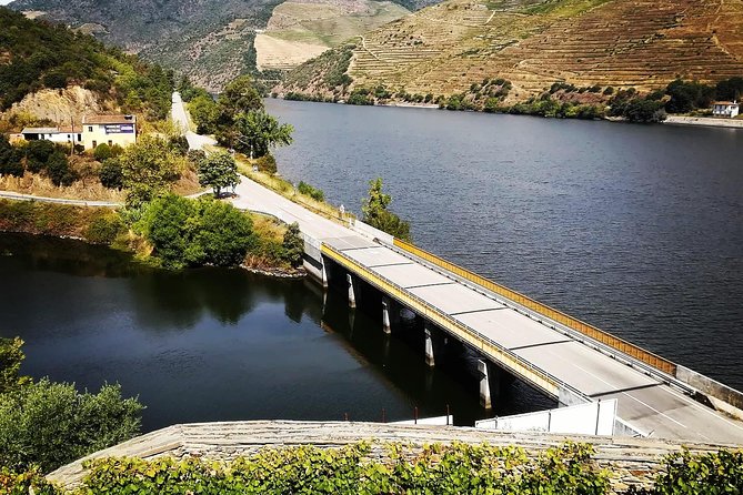 Douro Valley: Food and Wine Small Group Tour From Porto - Delectable Regional Cuisine