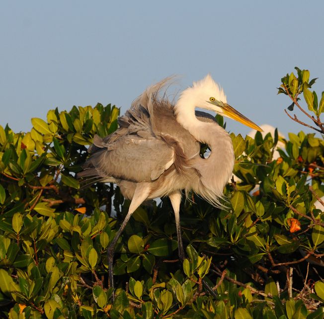 Everglades National Park: Private 2.5-Hour Photo Safari - Expert Guided Photo Safari Experience
