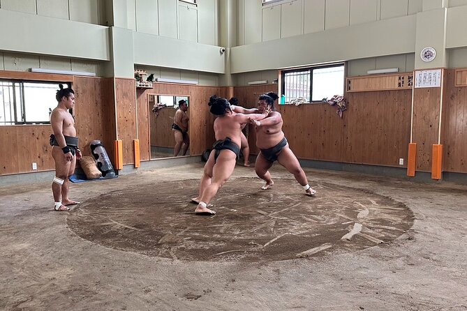 Experience the World of Sumo - Meeting and Pickup