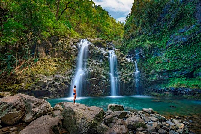 Famous Road to Hana Waterfalls and Lunch by Mercedes Van - Lunch at a Picturesque Spot