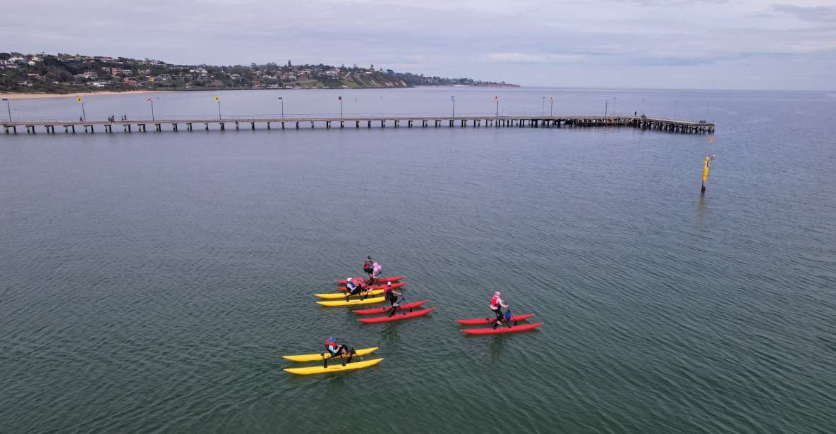 Frankston: Port Phillip Bay Water Bike Tour - Inclusions
