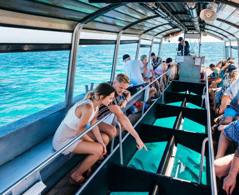 From Cairns: Green Island Snorkelling or Glass Bottom Boat - Language Options and Cancellation Policy