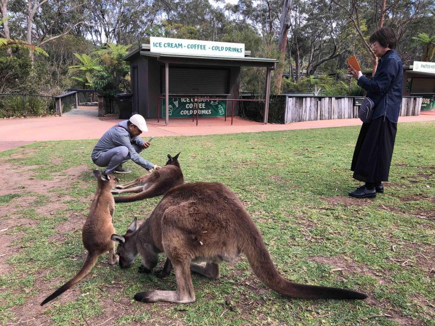 From Haymarket: Hunter Valley Wine and Wildlife Day Trip - Customer Reviews