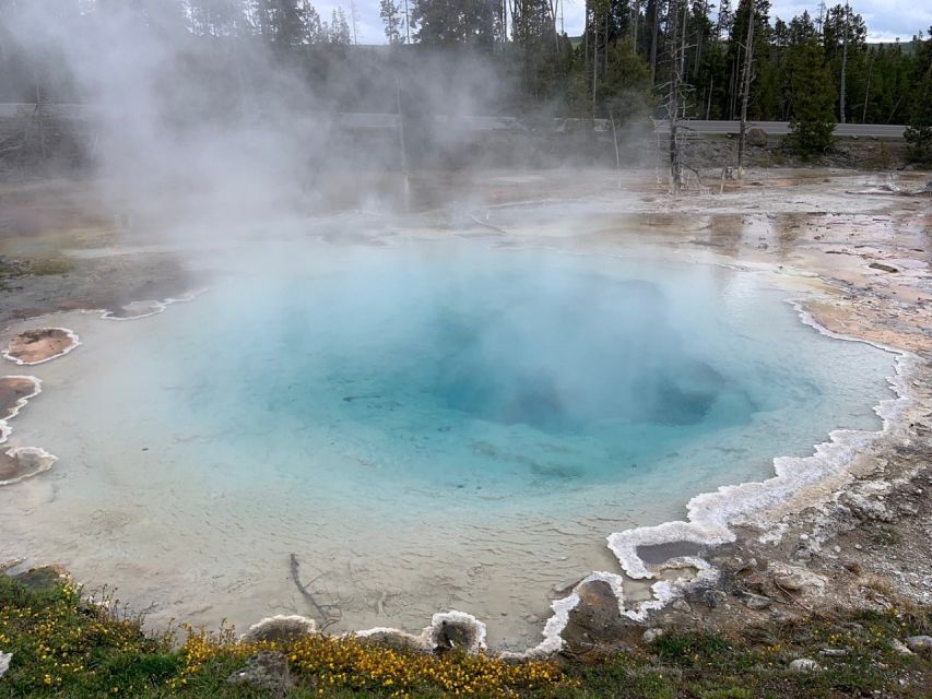 From Jackson: Yellowstone National Park Day Trip With Lunch - Important Information