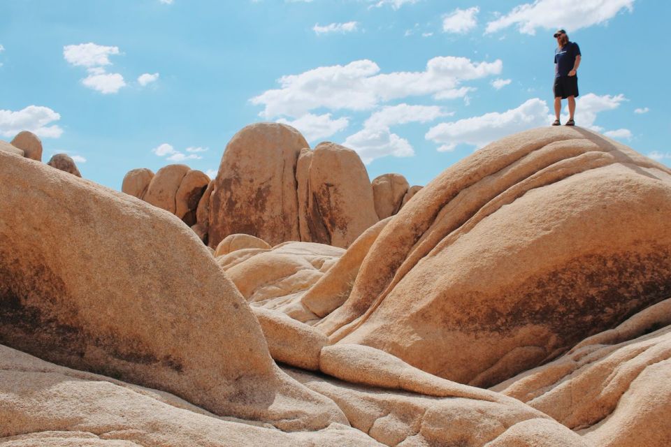 From Las Vegas: 4-Day Hiking and Camping in Joshua Tree - Accommodations and Inclusions