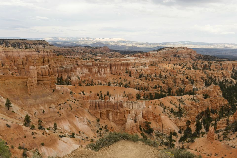 From Las Vegas: Bryce, Zion, and Grand Canyon 3-Day Tour - Meeting Point Details