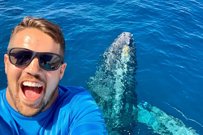 From Maalaea Harbor: Whale Watching Tours Aboard the Quicksilver - Tour Logistics