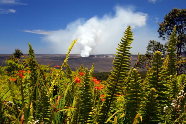 From Oahu: Big Island Volcano & Helicopter Adventure - Inclusions