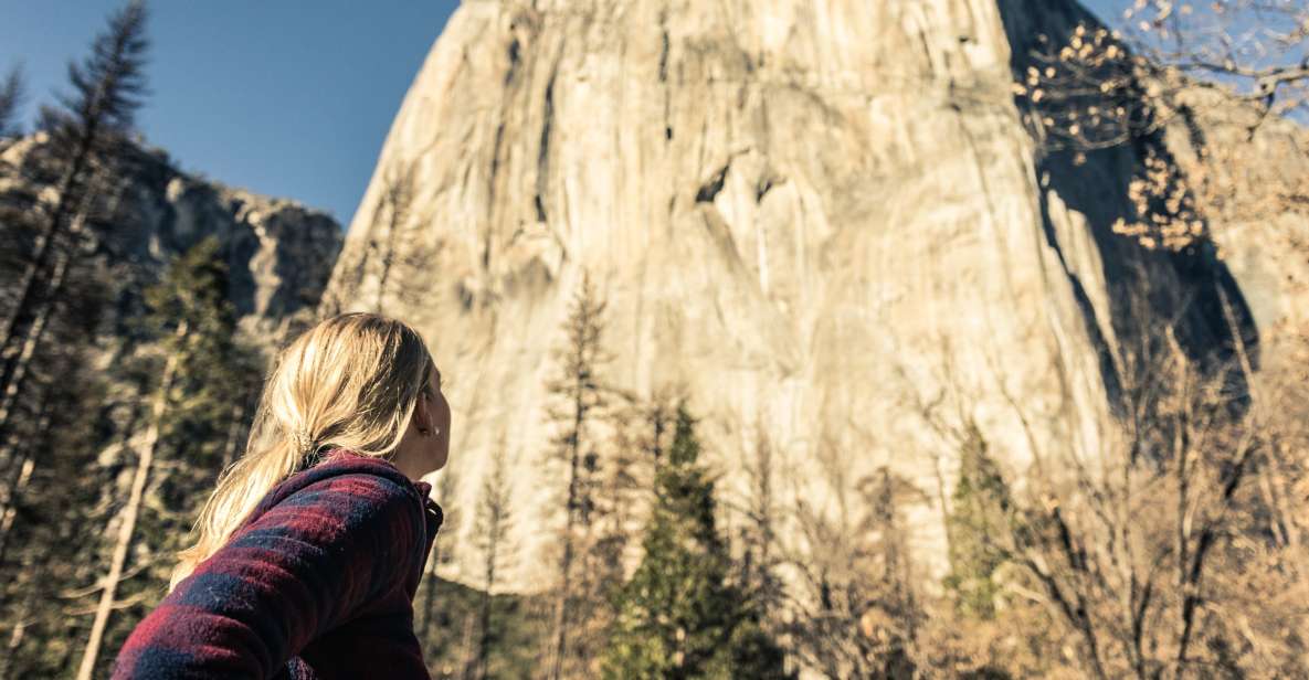 From San Francisco: 3-Day Yosemite National Park Tour by Bus - Included in Tour