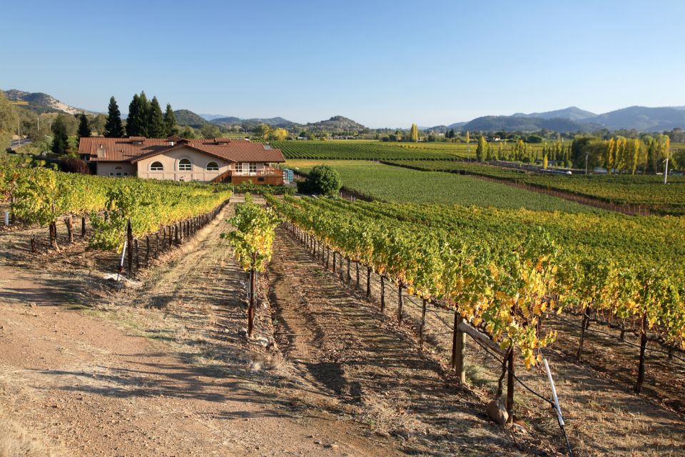 From San Francisco: Napa Valley Private Tour - Customer Reviews