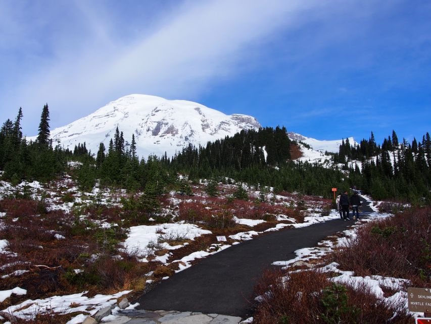 From Seattle: Mount Rainier Full-Day Tour - Itinerary and Highlights
