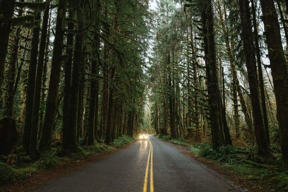 From Seattle: Twilight Forks Washington Tour - Scenic Drive to Forks