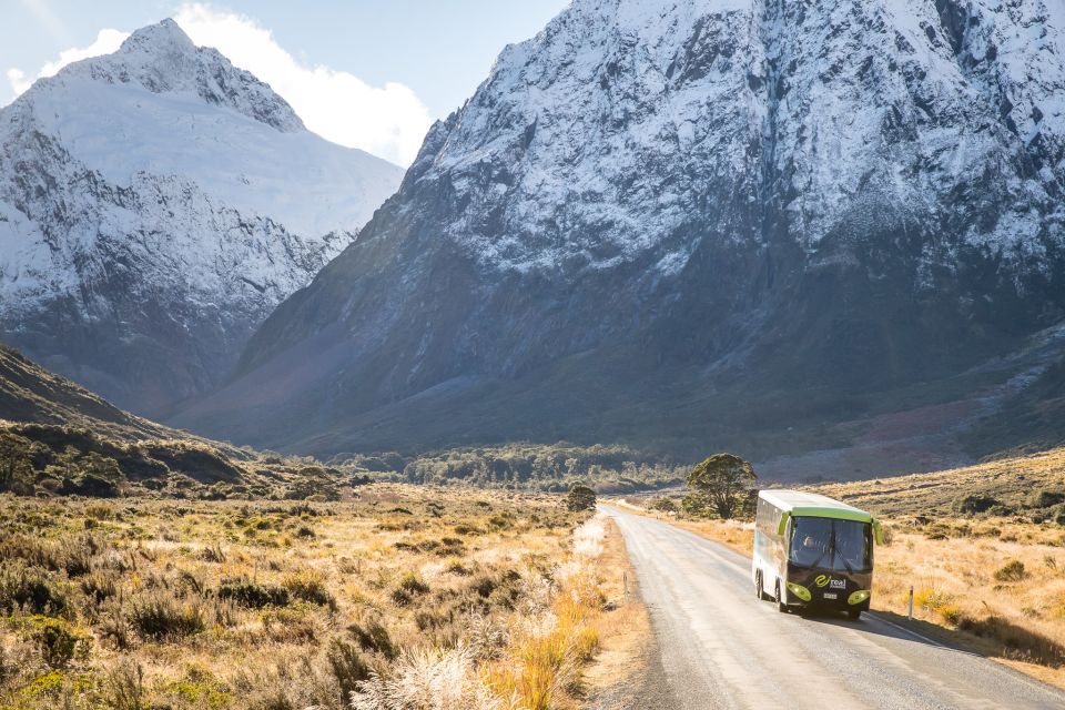 From Te Anau: Milford Sound Cruise and Coach Day Trip - Full Description