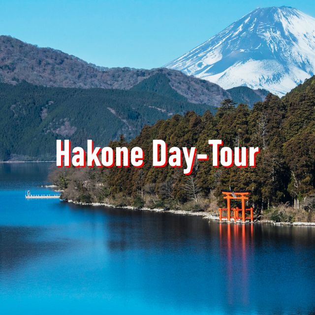 From Tokyo: 10-hour Hakone Private Custom Tour - Pricing and Packages