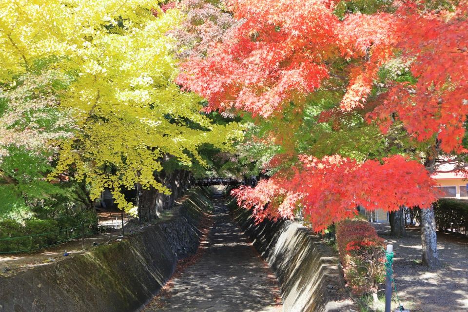 From Tokyo: Hakone, Owakudani, & Lake Kawaguchi Day Tour - Hakone Shrine Experience