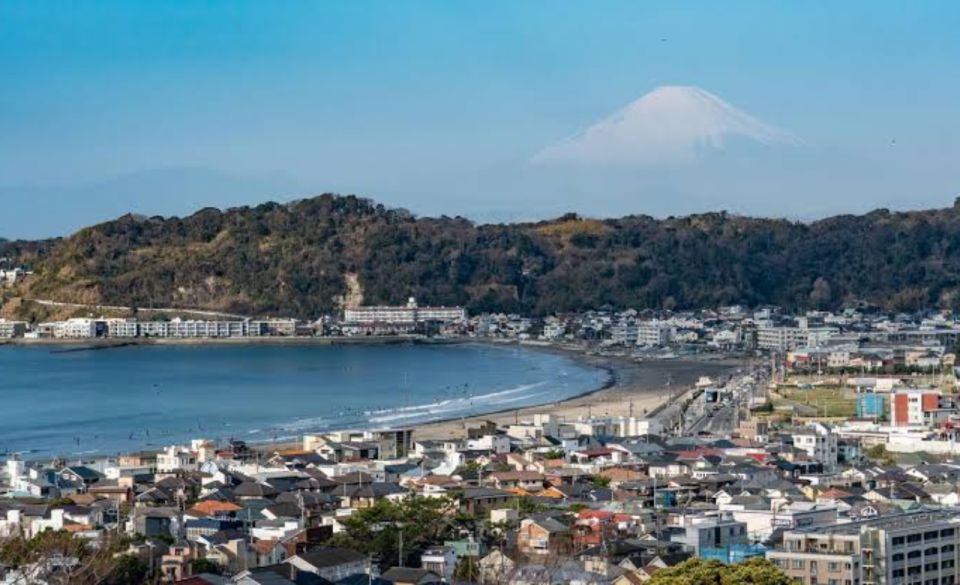 From Tokyo: Kamakura Private Customize Tour by Luxury Car - Customizing the Itinerary