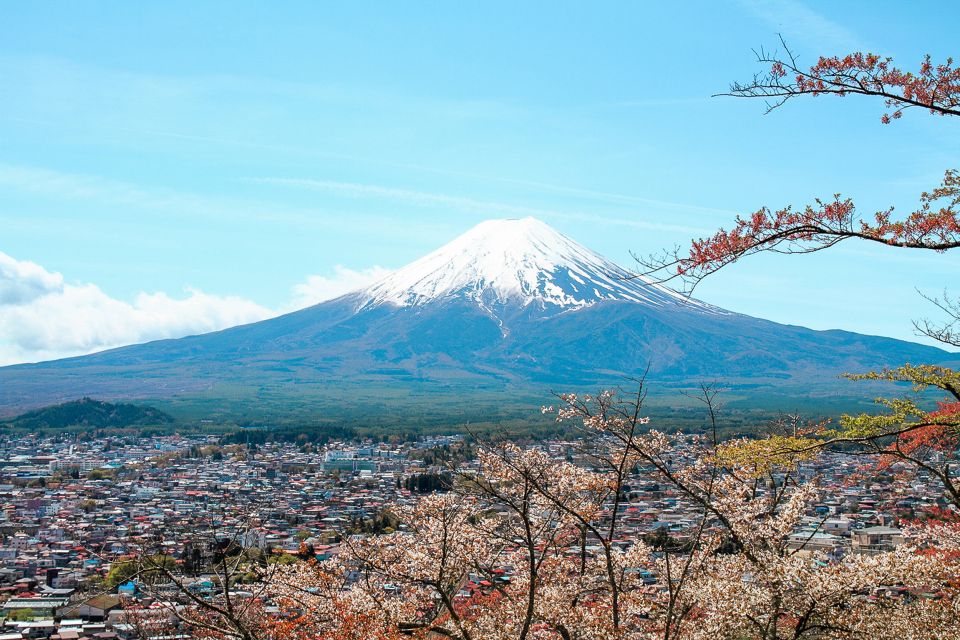 From Tokyo: Mt. Fuji Full-Day Sightseeing Trip - Highlights