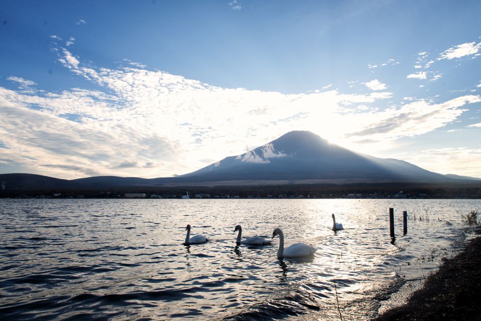 From Tokyo: Private Sightseeing Tour to Mount Fuji & Hakone - Oishi Park