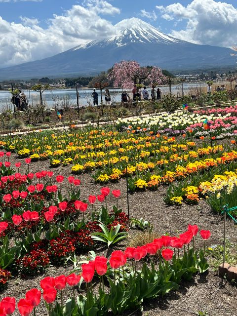 From Tokyo/Yokohama: Private Day Trip to Mt Fuji and Hakone - Visiting Oshino Hakkai and Shrines