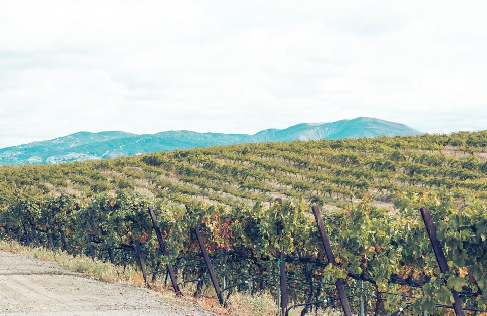 Full-Day Inclusive Wine Tasting Tour From Santa Barbara - Highlights