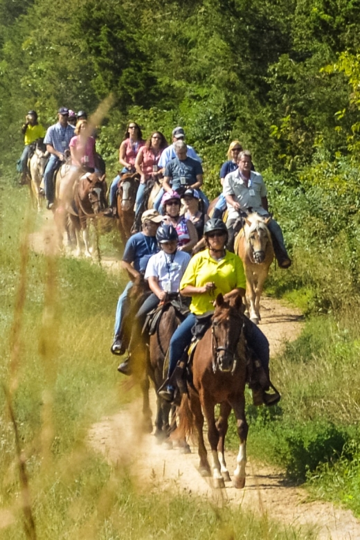Gettysburg: Licensed Guided Battlefield Horseback Tour - Panoramic Views at Spangler Farm