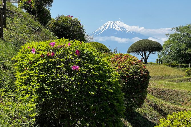 Hike Japan Heritage Hakone Hachiri With Certified Mountain Guide - Tour Duration and Group Size