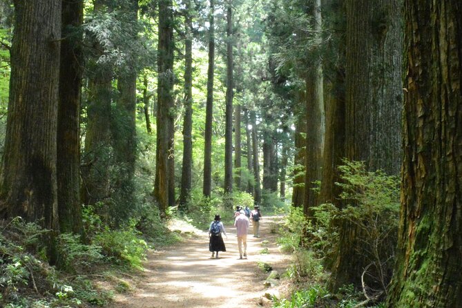 Hike the Hakone Hachiri - Inclusions