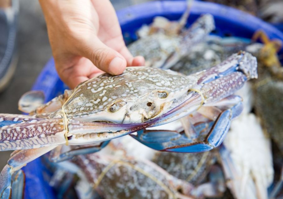 Hilton Head Island: Crabbing Expedition Boat Tour - Inclusions