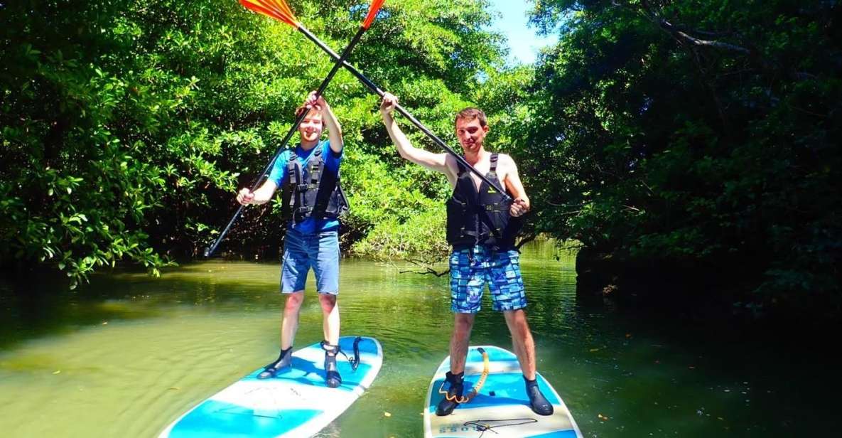 Ishigaki Island: SUP/Kayaking and Snorkeling at Blue Cave - Exploring Miyara River Mangroves
