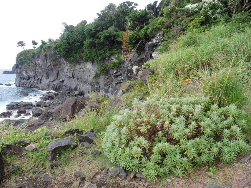Izu Peninsula: Jogasaki Coast Experience - Diverse Flora and Fauna