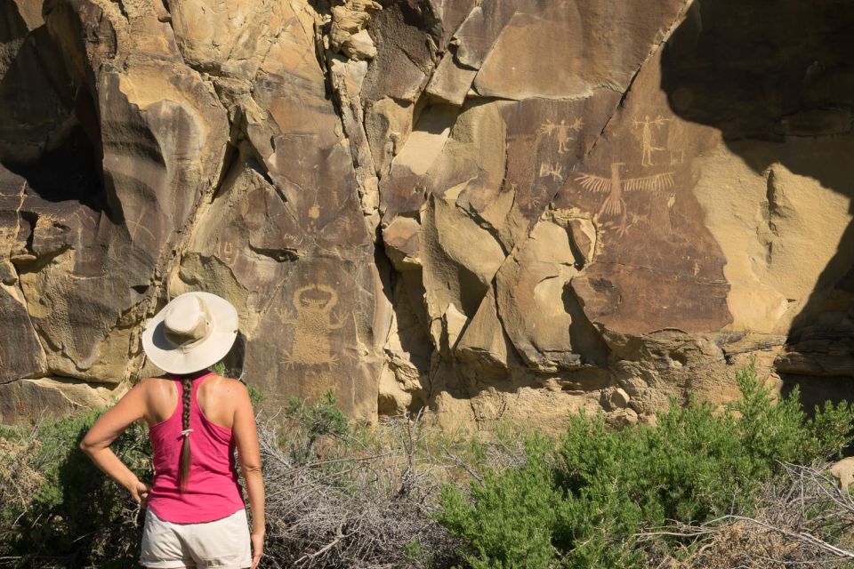 Jackson: Grand Teton, Bighorn Sheep, and Petroglyphs Tour - Important Information and Booking Details