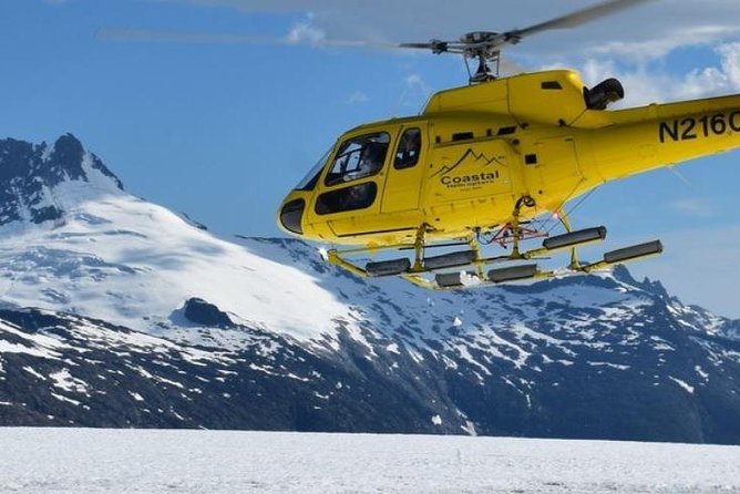 Juneau Shore Excursion: Helicopter Tour and Guided Icefield Walk - Recap