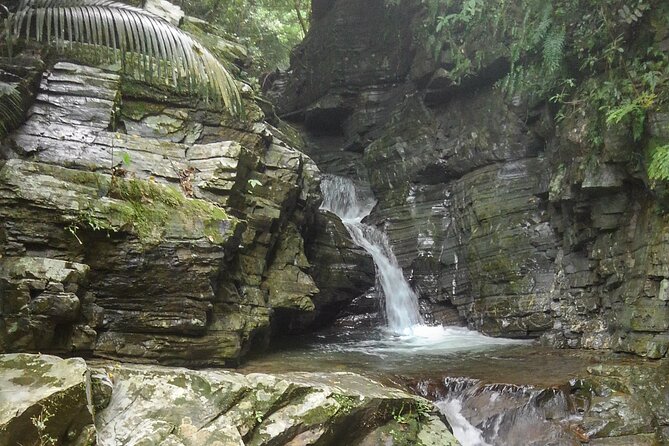 Jungle River Trek: Private Tour in Yanbaru, North Okinawa - Cancellation Policy