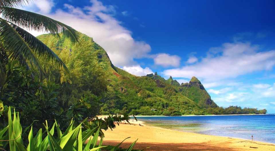 Kauai: Customized Luxury Private Tour - Highlights