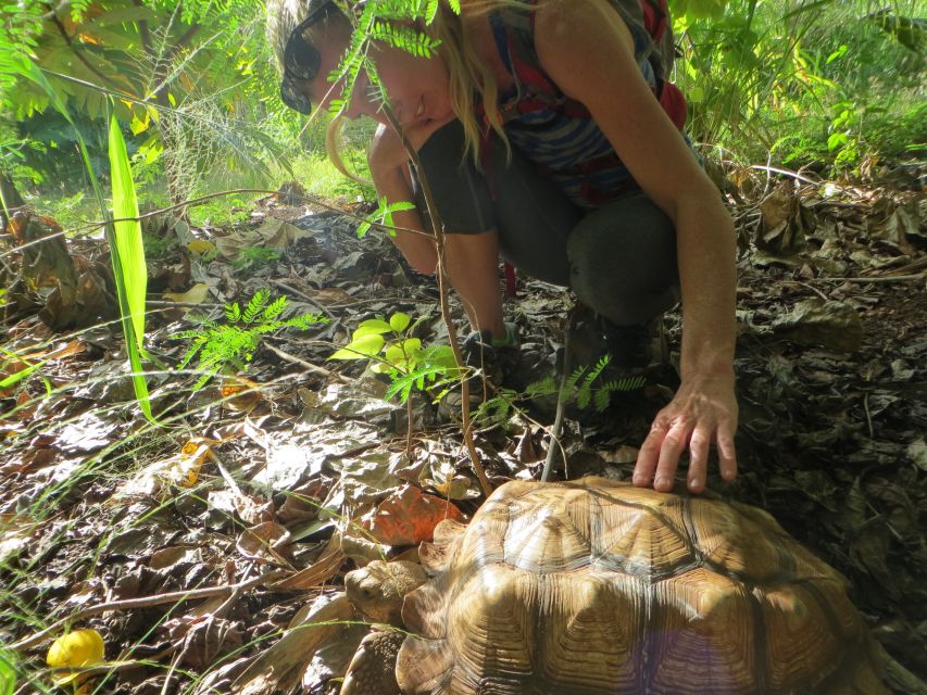 Kauai: Private Tortoises, Caves, and Cliffs South Shore Hike - Engage in Conservation Efforts