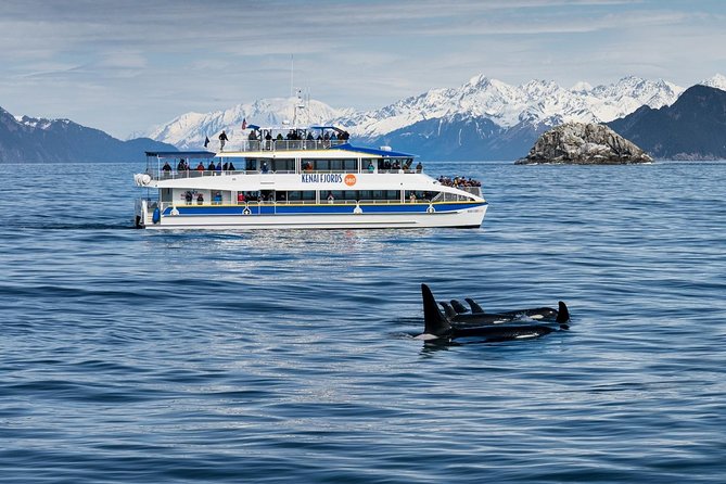 Kenai Fjords National Park Glacier & Wildlife Cruise - Important Information