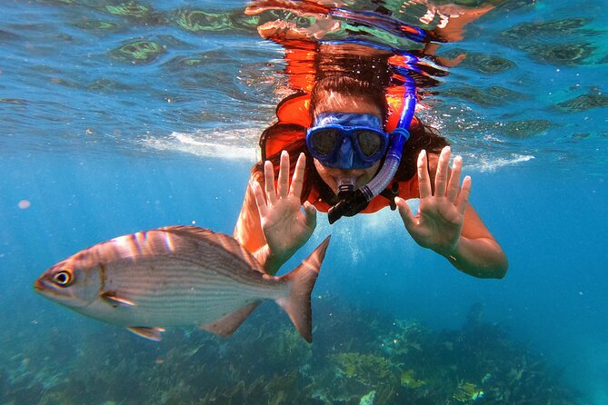 Key Largo Two Reef Snorkel Tour - All Snorkel Equipment Included! - Booking Information