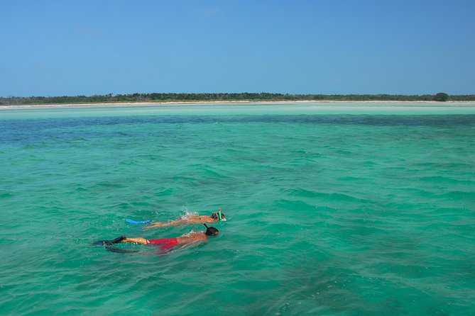 Key West Island Adventure: Kayak, Snorkel, Paddleboard - On-Boat Experience