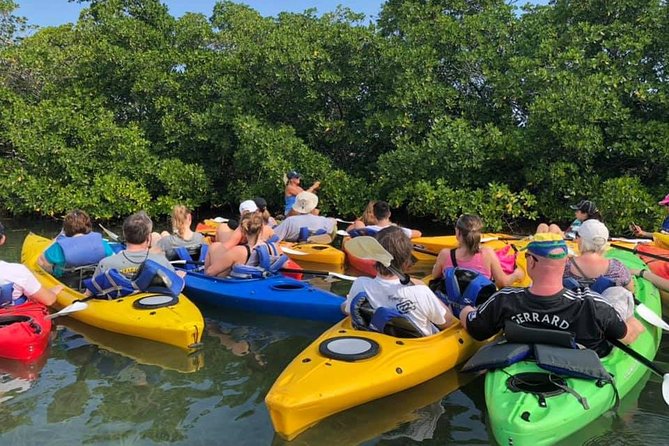 Key West Mangrove Kayak Eco Tour - Cancellation Policy