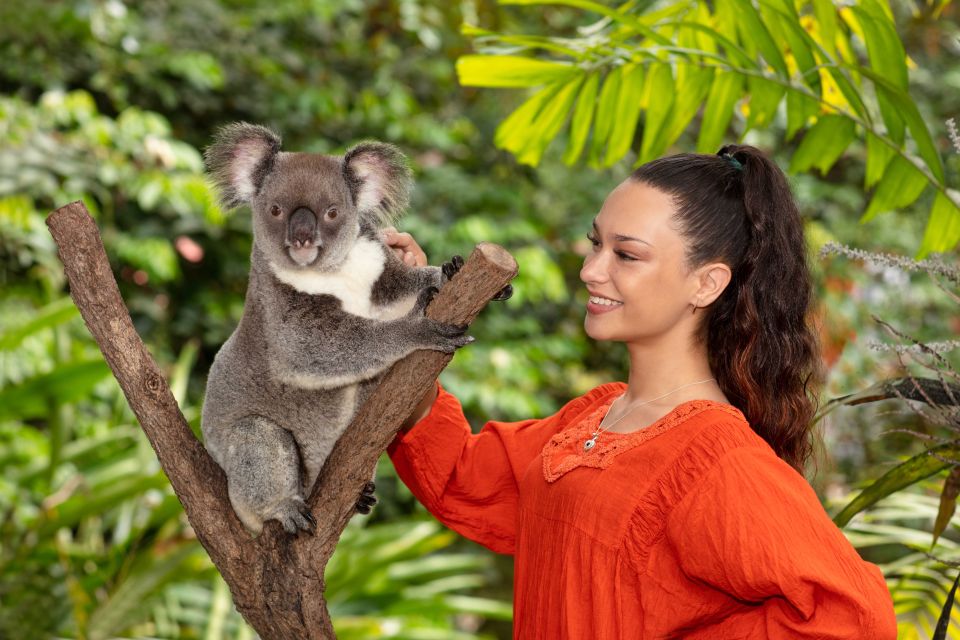 Kuranda: Friends in the Rainforest Koala Gardens & Birdworld - Full Description
