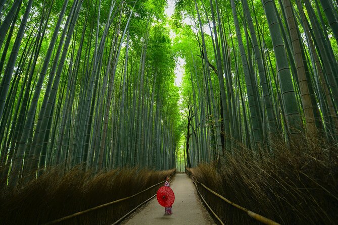 Kyoto: Arashiyama Bamboo, Temple, Matcha, Monkeys & Secret Spots - Accessibility and Transportation