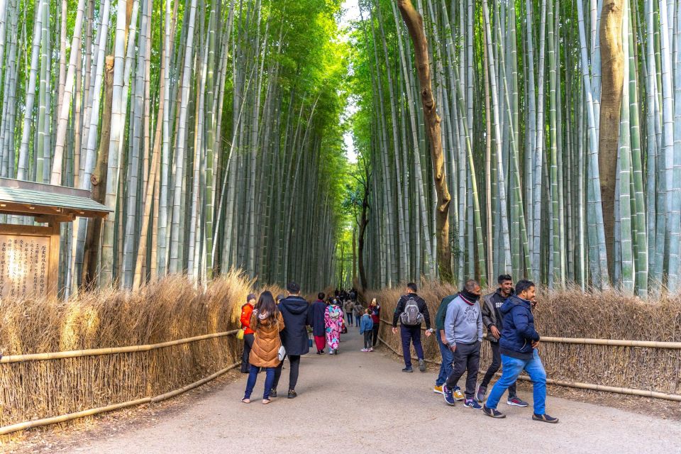 Kyoto: Arashiyama Forest Trek With Authentic Zen Experience - Guided Tour and Activities