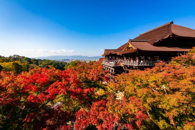 Kyoto Best Spots Private Tour With Licensed Guide (4h/6h) - Meeting and End Points