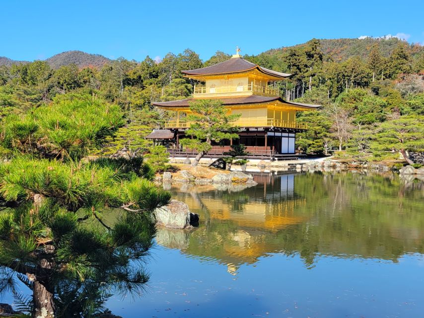 Kyoto: Private Walking Tour With Government Certified Guide - Immersion in Local Atmosphere