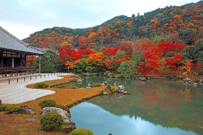 Kyoto Sagano Bamboo Grove & Arashiyama Walking Tour - Tranquil Sagano Bamboo Grove
