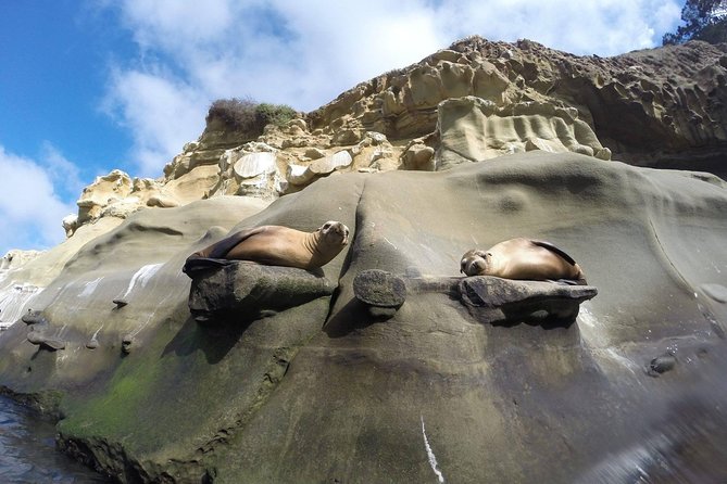 La Jolla Sea Caves Kayak Tour For Two (Tandem Kayak) - Kayaking Experience