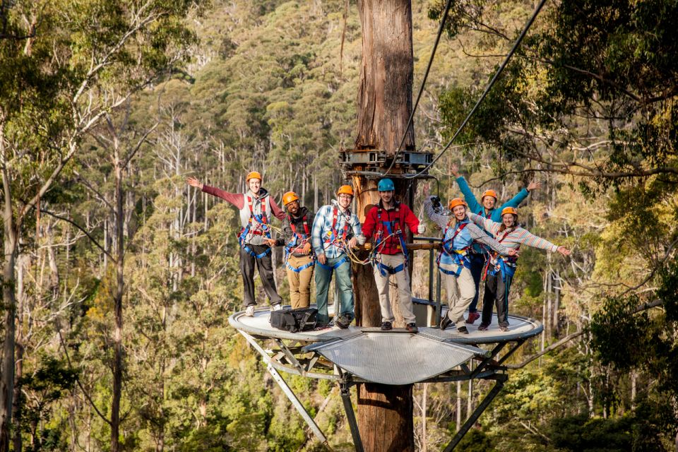 Launceston: Hollybank Forest Treetop Zip Lining With Guide - Features and Group Size