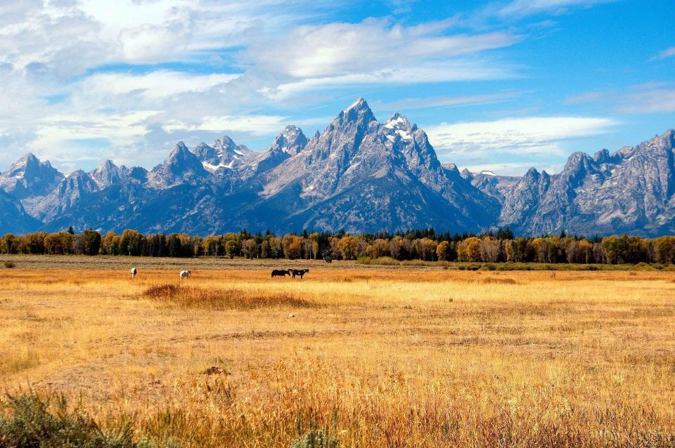 LAX 8-day Tour Unique Yellowstone National Park Experience - Experience Highlights